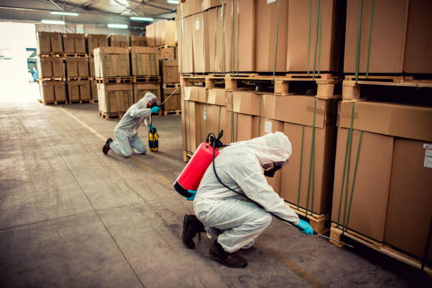 Best Pest Control Near Me  in Grass Lake, MI