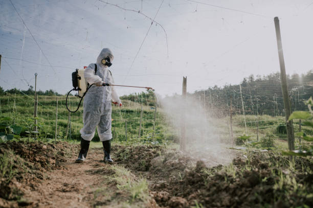 Best Wasp Removal Services  in Grass Lake, MI