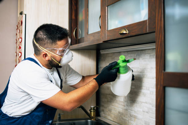 Best Affordable Pest Control Services  in Grass Lake, MI