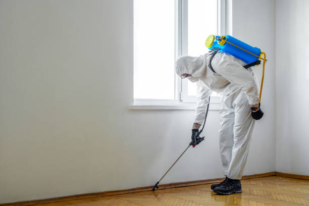 Best Ant Control Services  in Grass Lake, MI
