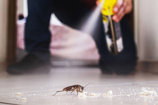Best Mosquito Control Services  in Grass Lake, MI